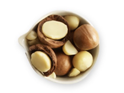 macadamia